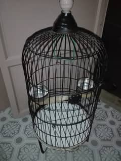 Parrot Cage