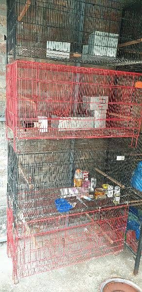 Birds cage avilible for sale 1