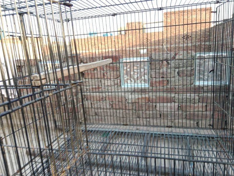 Cage for sale 03044848922 1