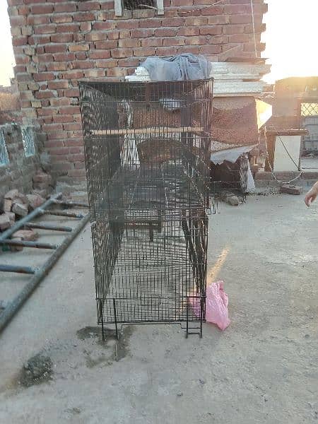 Cage for sale 03044848922 3