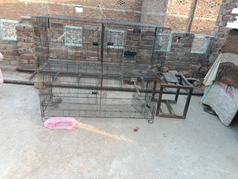 Cage for sale 03044848922 4