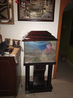 AQUARIUM