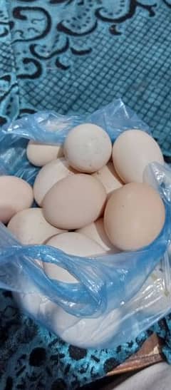 Desi  fresh eggs Rs 25