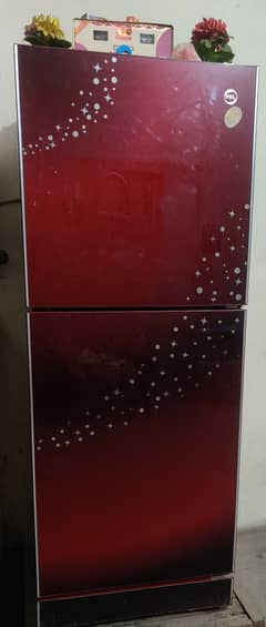 PEL Glass Door refrigerator 0