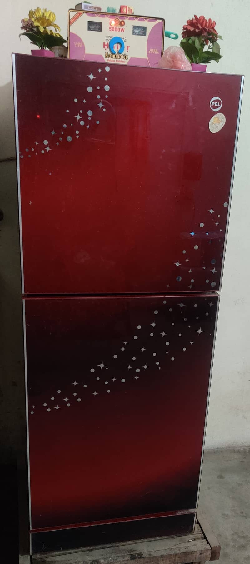 PEL Glass Door refrigerator 3