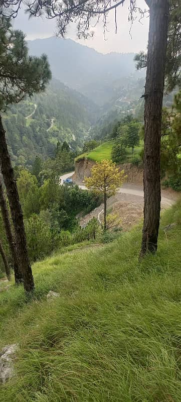 26 Kanal Land For Sale On Thandiyani Road Abbottabad 2