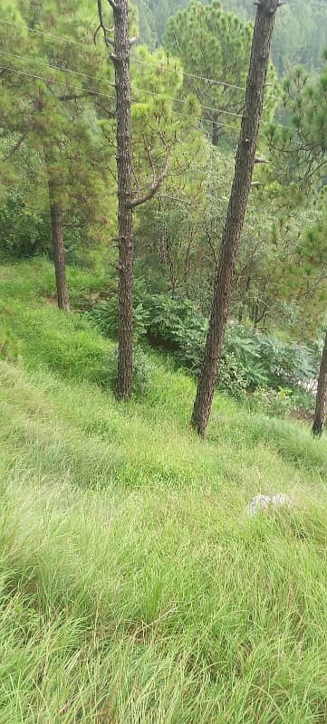 26 Kanal Land For Sale On Thandiyani Road Abbottabad 3