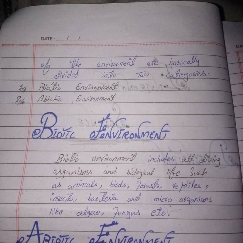 Hand written assignment work Education 17
