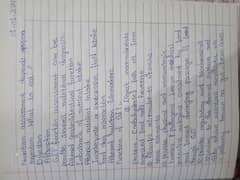 hand written assignment work