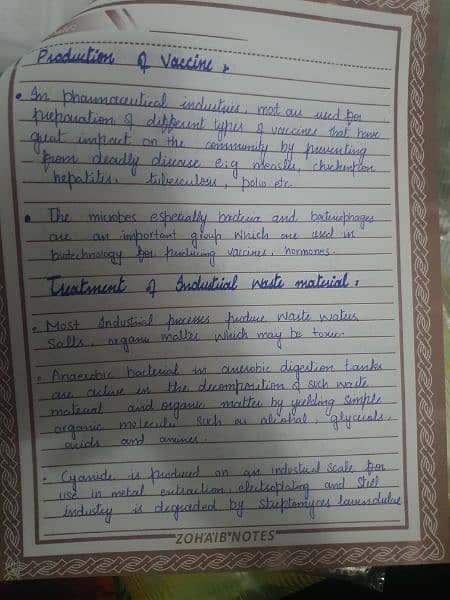 Handwritten assignment writer 11