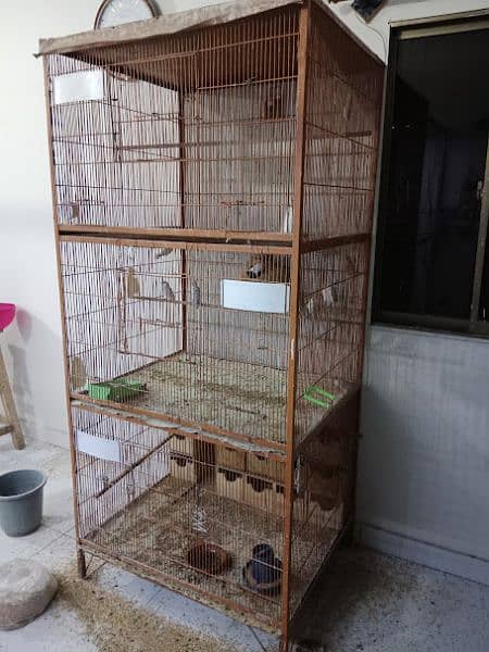 cage available for sale 1