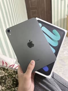 Ipad mini 6/64