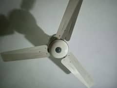 Home used 2 Fans for sale