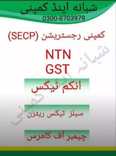 Company registration/Ntn/Gst/Ngo/Tax Returns/Secp/Firm registration