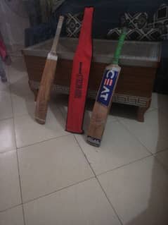 CEAT cricket bat