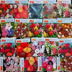 Wholesale price of best summer Flower fruits and vegetable seeds