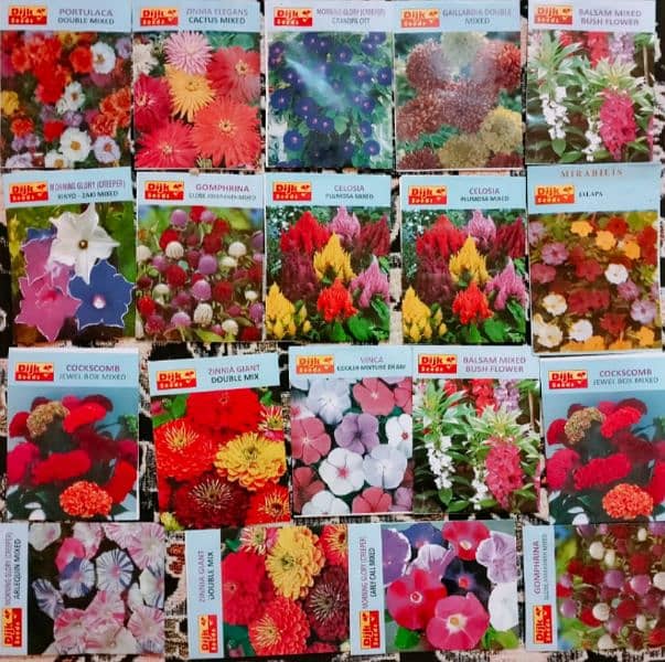 Wholesale price of best summer Flower fruits and vegetable seeds 0