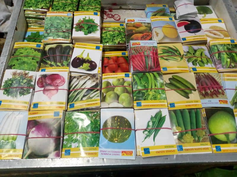 Wholesale price of best summer Flower fruits and vegetable seeds 1