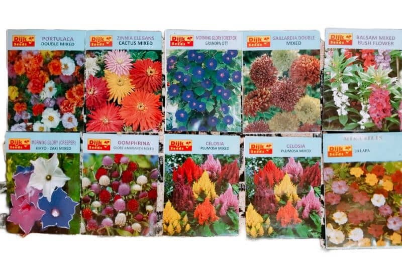 Wholesale price of best summer Flower fruits and vegetable seeds 4