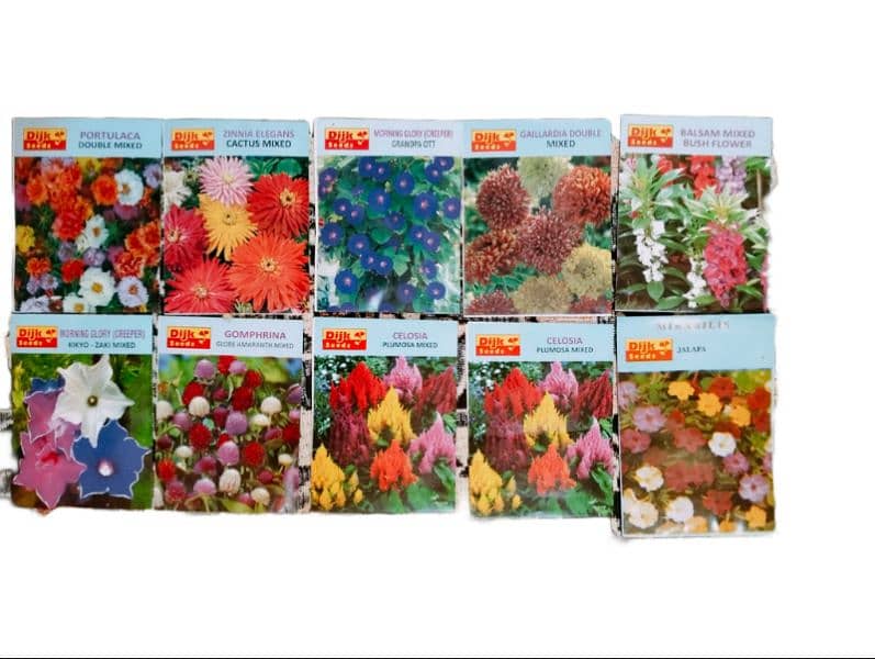 Wholesale price of best summer Flower fruits and vegetable seeds 5