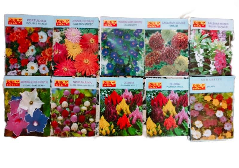 Wholesale price of best summer Flower fruits and vegetable seeds 6