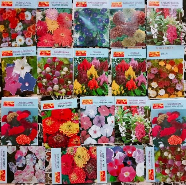 Wholesale price of best summer Flower fruits and vegetable seeds 7