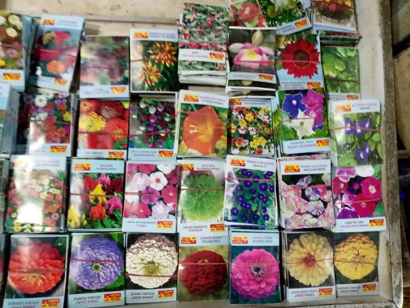 Wholesale price of best summer Flower fruits and vegetable seeds 14