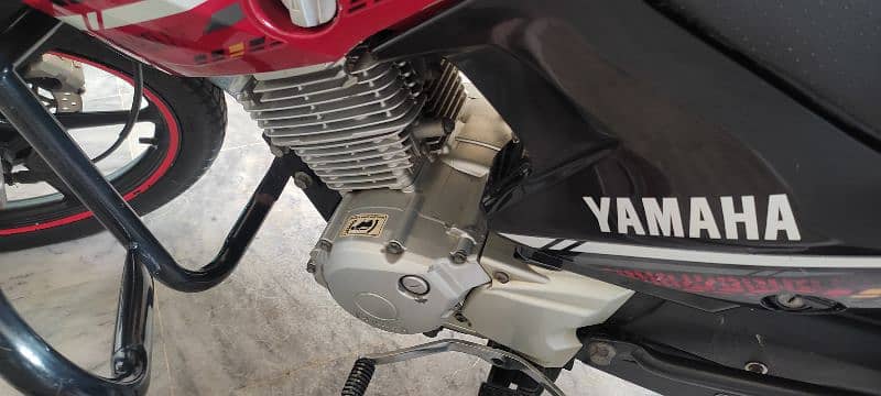 Yamaha ybr 125G 2020 4
