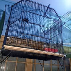 used cages and Budgie's available