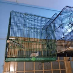 used cage available 0