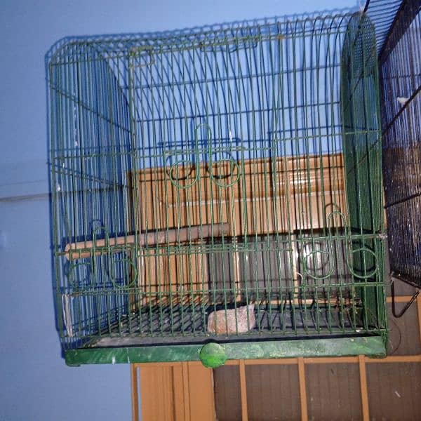 used cage available 1