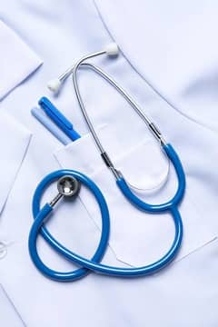 Mbbs  lady doctor required for clinic