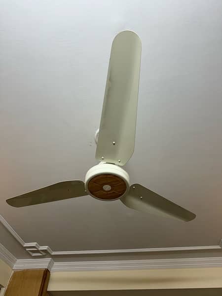 Ceiling Fans 2