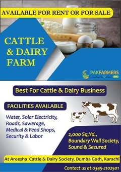 Cattle and Dairy Farm in Karachi