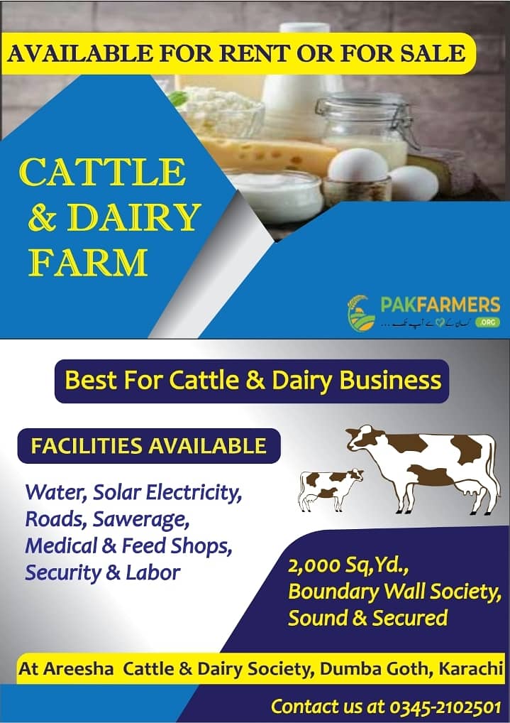 Cattle and Dairy Farm in Karachi 0