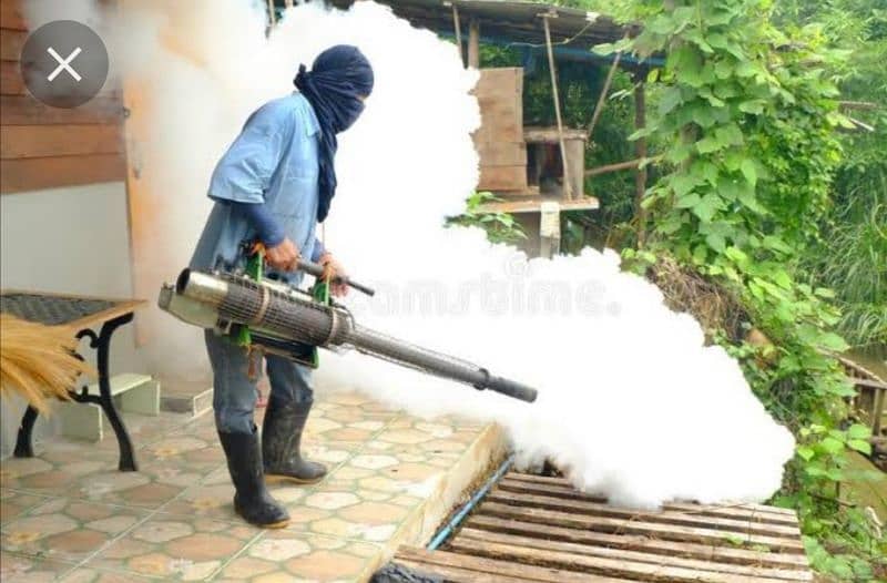 Dengue spray / Pest control /Mosquito Spray and Fumigation spray. 1