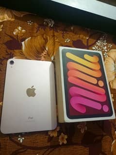 ipad mini 6