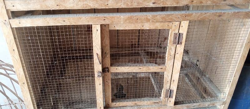 3 portion trye system wooden cage 2
