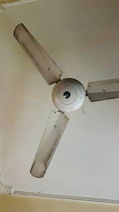 fan copper winding