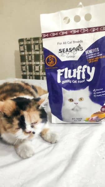 Fluffy Cat food 03214517160 1