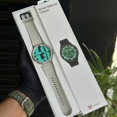 SMART WATCH 6 CLASSIC LIMITED SILVER EDITION 47MM
