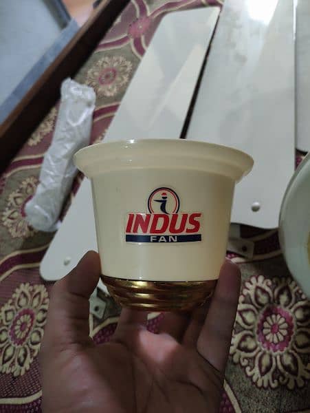 Indus Fan 3