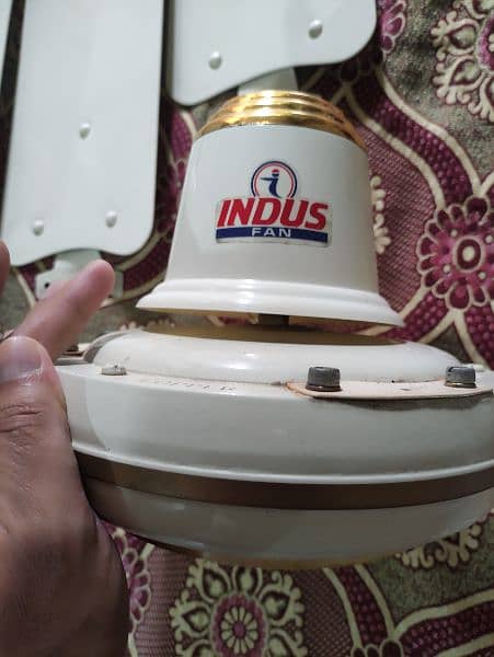 Indus Fan 4