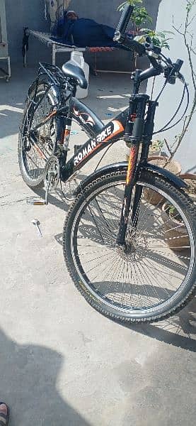 Roman bicycle for sale 0