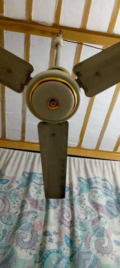 Ac ceiling fan