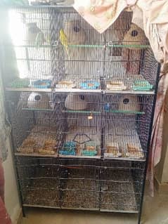 9 COLUMB breeding cage