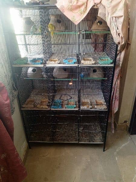 9 COLUMB breeding cage 1