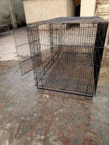 hens and birds cage 6