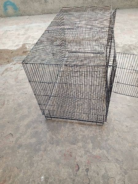 hens and birds cage 9