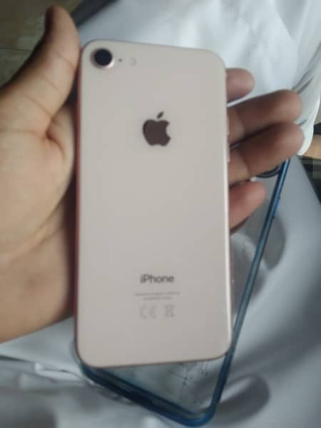 iphone 8 for sale lush condition like brand new 256 gb 03557097625 0
